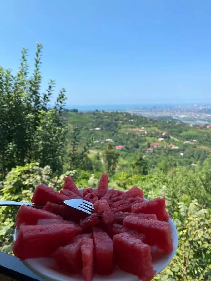 Chemi Kera Chalet Makho Villa
